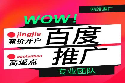成功案例解析：SEO与SEM协同营销策略